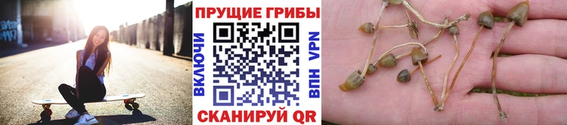 Галлюциногенные грибы ЛСД Купить Алушта
